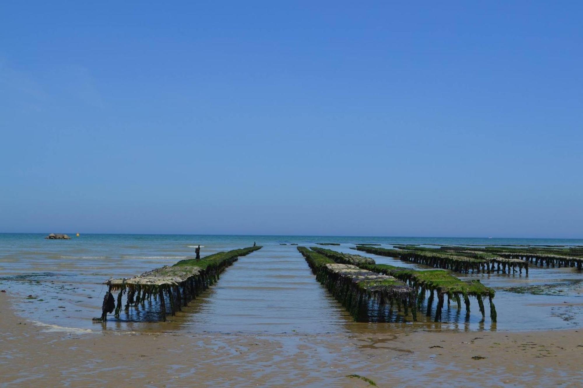 Commes Nid De Pie Grand Duplex Lumineux Cadre Verdoyant Calme A 5 Mn De La Mer Pres Port En Bessin, Bayeux, Omaha Beach, מראה חיצוני תמונה